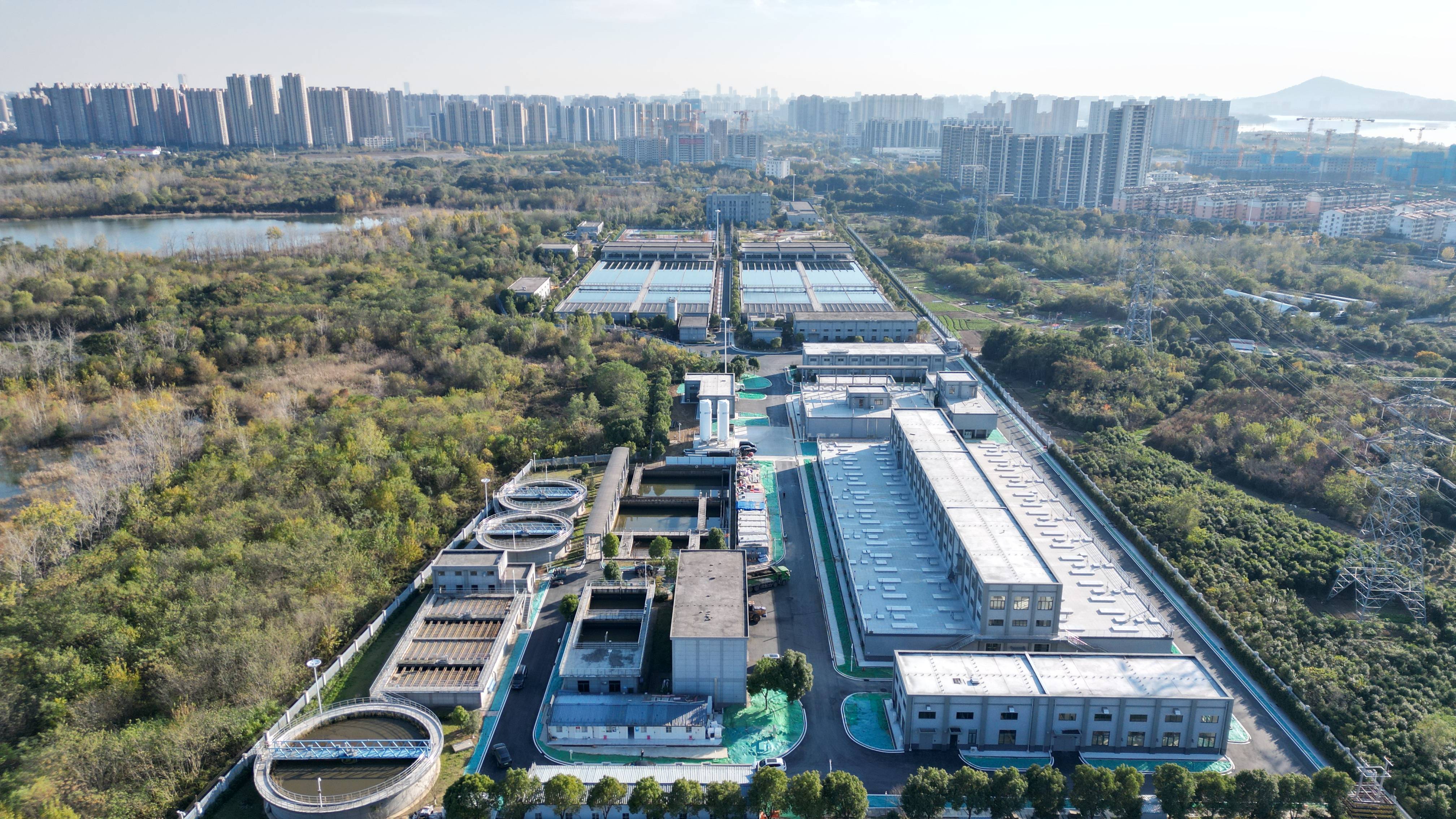 乐山市合肥专业企业价值增长(合肥市重点企业产业目录)