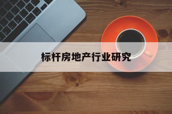 乐山市标杆房地产行业研究(房地产领域的标杆人物)