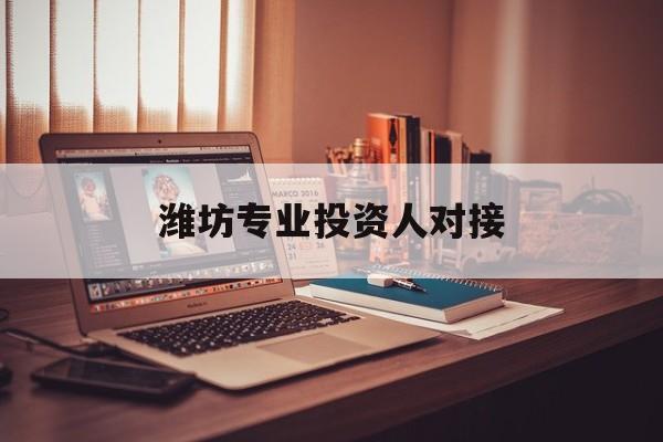 乐山市潍坊专业投资人对接(潍坊专业投资人对接中心)