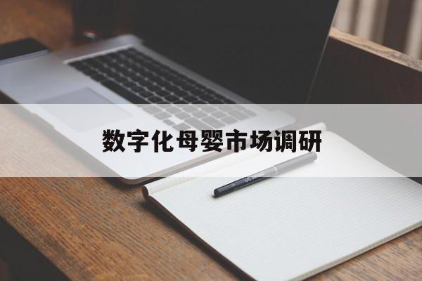 乐山市数字化母婴市场调研(数字化母婴市场调研报告)